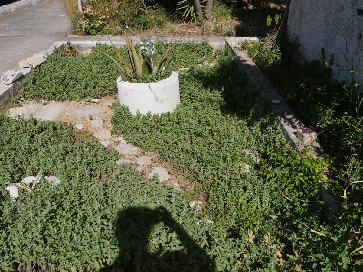 Helios-Rhodos-Apartments Koskinou  Dış mekan fotoğraf